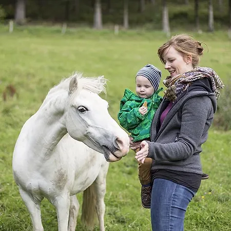 Schuette-muehle Apartmán