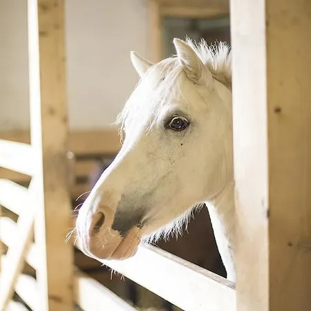 Apartmán Schuette-muehle