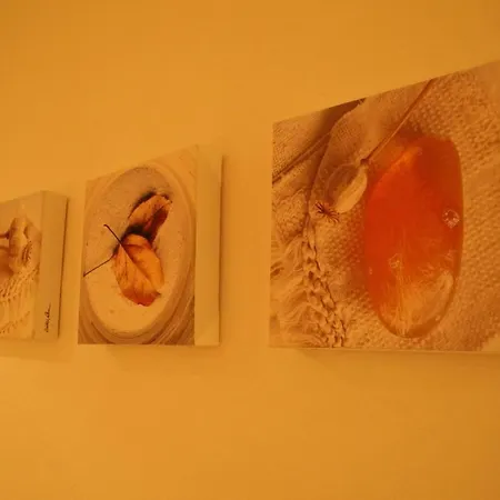 Schuette-muehle Apartmán *