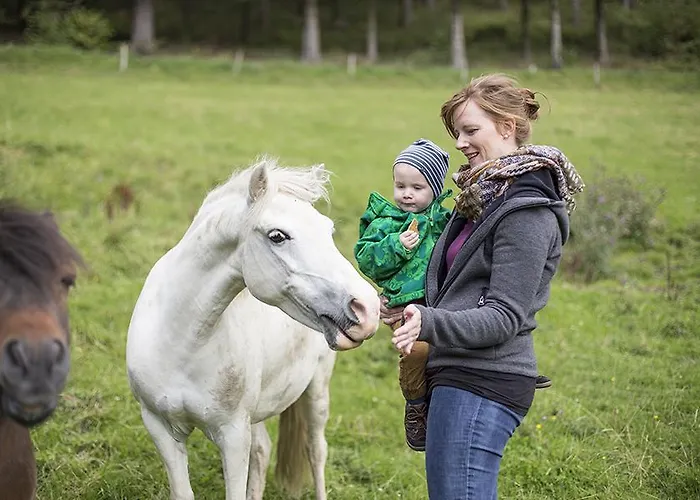 Schuette-muehle Daire