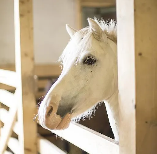 Apartment Schuette-muehle