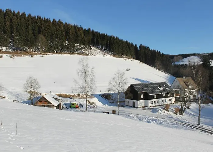 Daire Schuette-muehle *