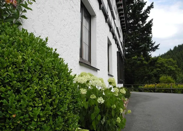 Daire Schuette-muehle *